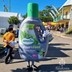 Osmocote 1L Pour + Feed Cacti And Succulent Fertiliser -Garden Plant Store apo pour feed mascot qge