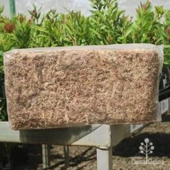 Sphagnum Moss 12L -Garden Plant Store apo sphagnum sun