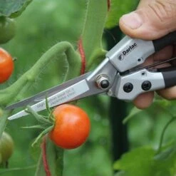 Compact Snips -Garden Plant Store compact snips