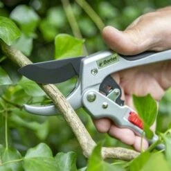 Ratchet Anvil Secateurs -Garden Plant Store darlac ratchet anvil pruner 1
