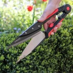 Expert Topiary Shear -Garden Plant Store darlac topiary