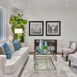 Ficus Lyrata - Fiddle Leaf Fig -Garden Plant Store fiddle leaf fancy room