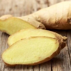 Zingiber - Edible Ginger -Garden Plant Store ginger root 500 1
