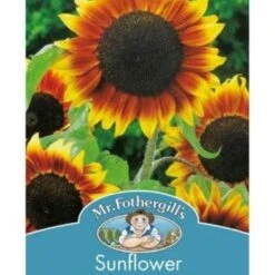 New Products -Garden Plant Store golden prominence