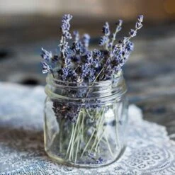 Lavender English Munstead - Seed -Garden Plant Store lavender dried