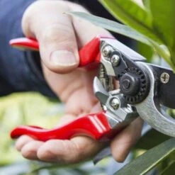 Left Hand Bypass Secateurs 6 Left Hand Bypass Secateurs -Garden Plant Store left handed secateurs closer
