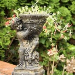 Lotus Red Flash - Parrot's Beak -Garden Plant Store lotus planted