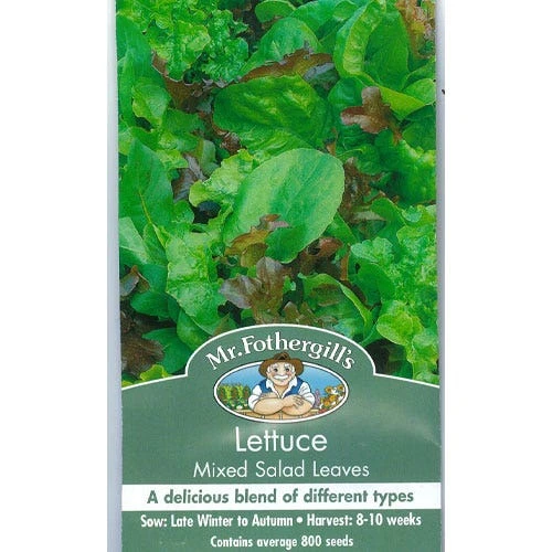 Lettuce Mixed Salad Leaves - Seed 1 Lettuce Mixed Salad Leaves - Seed