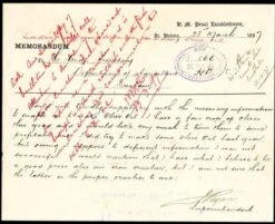 Olive Helena -Garden Plant Store postcard from st helena superintendent 500 2