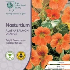New Products -Garden Plant Store rhs nasturtium variegated