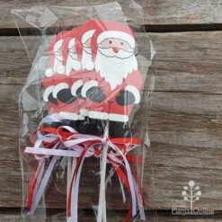 Wooden Santa Picks - Pack Of 4 5 Wooden Santa Picks - Pack Of 4 -Garden Plant Store santa pick closeup